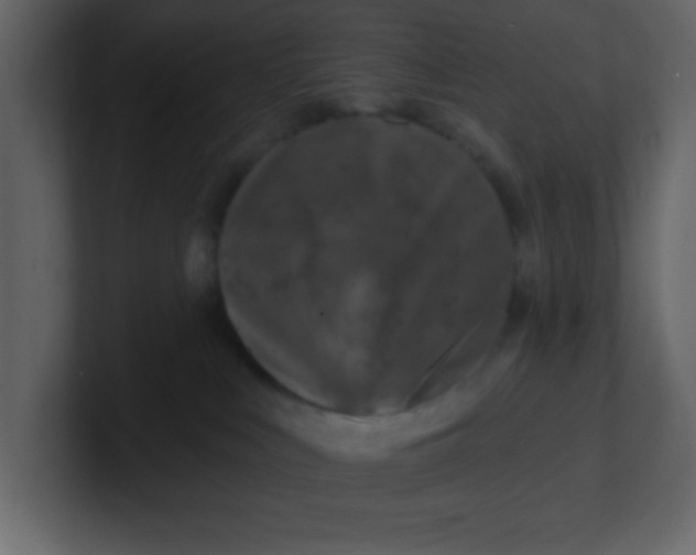 X0000100910043200807151148