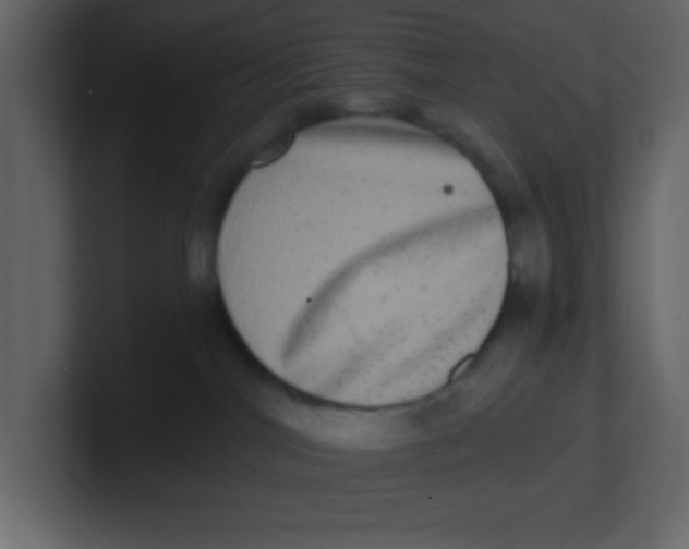 X0000100910044200807151148