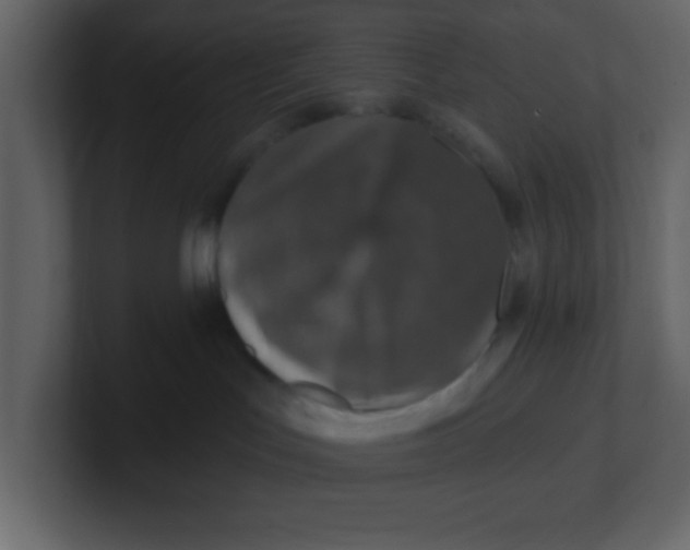 X0000100910047200807151148