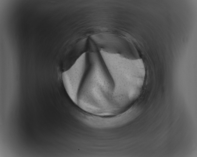 X0000100910048200807151148