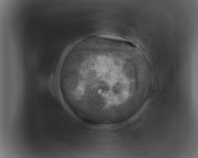 X0000100910049200807151147