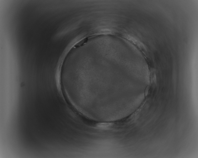 X0000100910051200807151147