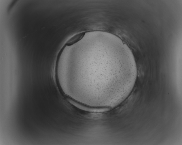 X0000100910052200807151147