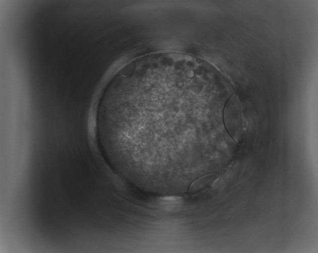 X0000100910053200807151147