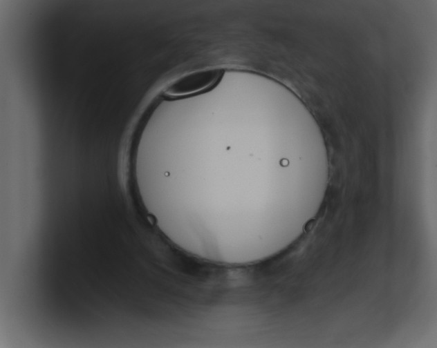 X0000100910056200807151147