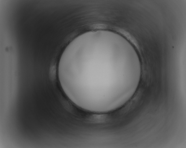 X0000100910057200807151147