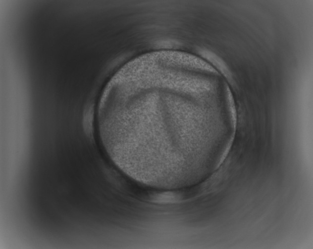 X0000100910058200807151147