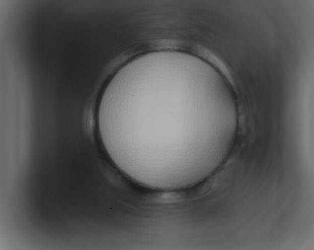 X0000100910059200807151147