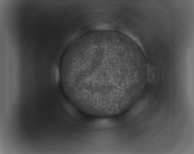 X0000100910061200807151147