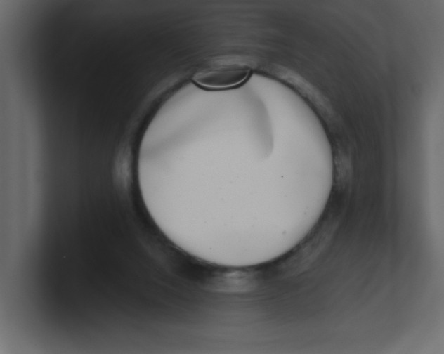 X0000100910064200807151147