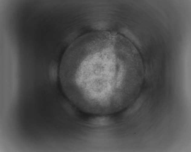 X0000100910065200807151147