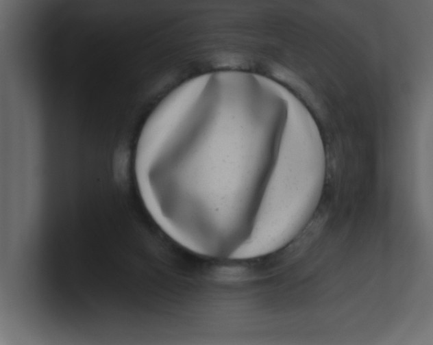 X0000100910066200807151147