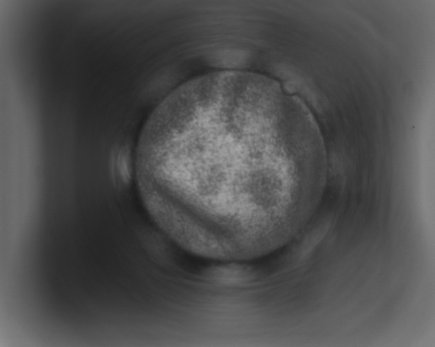 X0000100910069200807151147