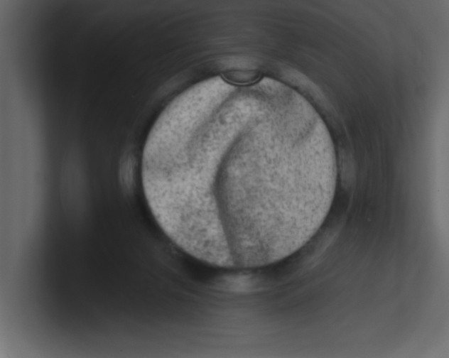 X0000100910071200807151147