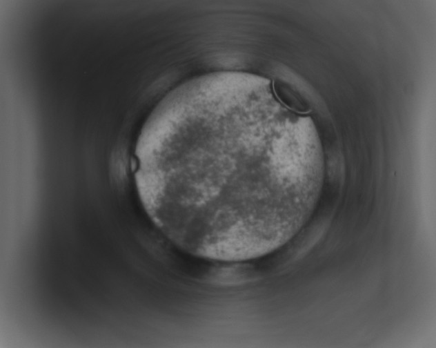 X0000100910072200807151147