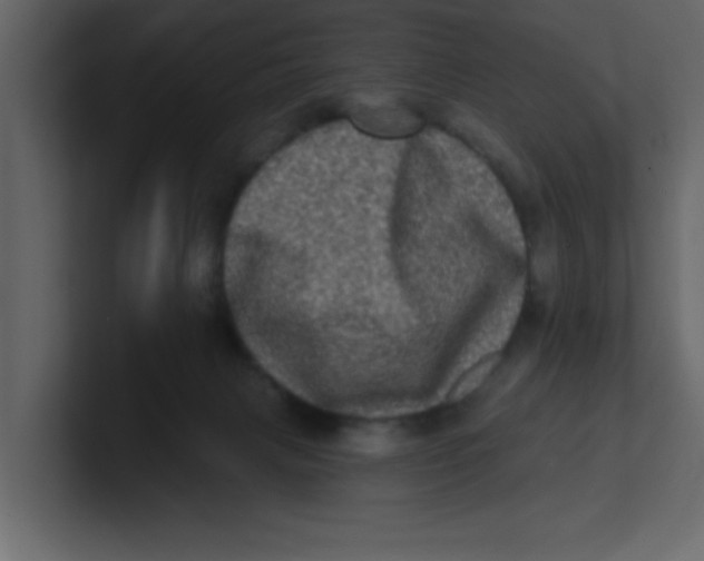 X0000100910079200807151147