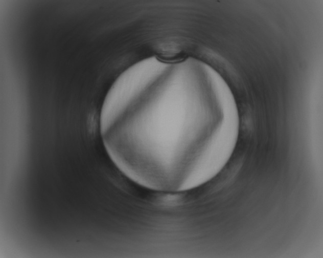 X0000100910081200807151148