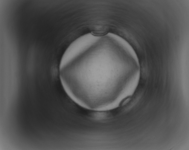 X0000100910085200807151148