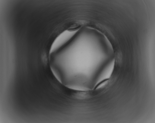 X0000100910086200807151148