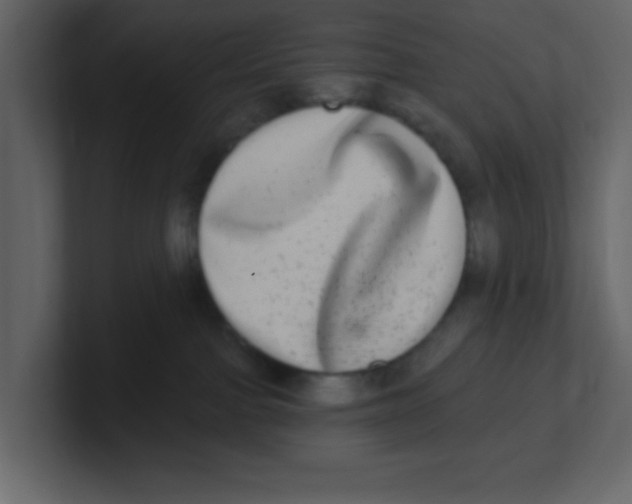 X0000100910091200807151148