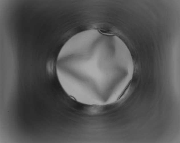 X0000100910094200807151148