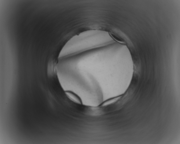 X0000100910095200807151148