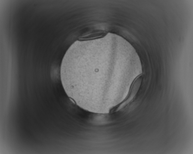 X0000100910096200807151148