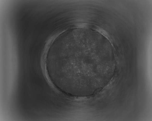 X0000100910097200807151147