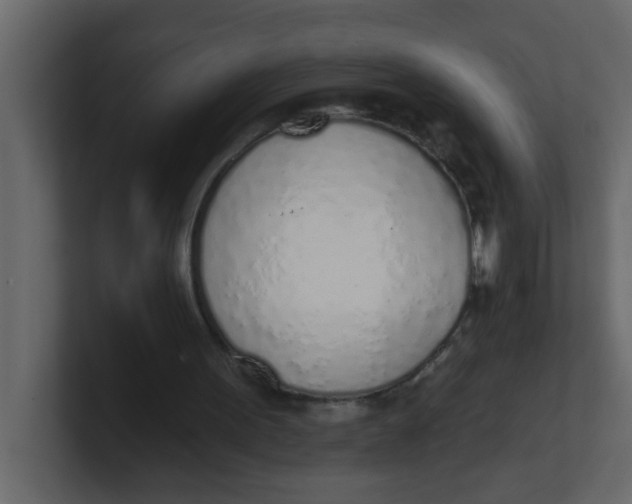 X0000100910099200807151147