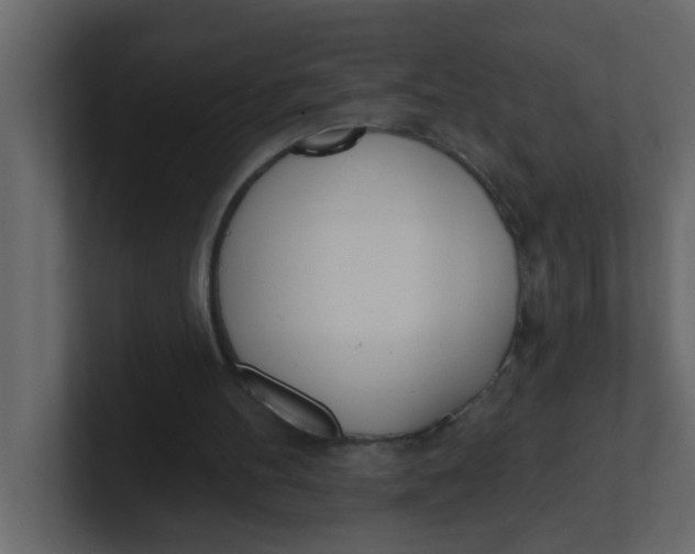 X0000100910100200807151147