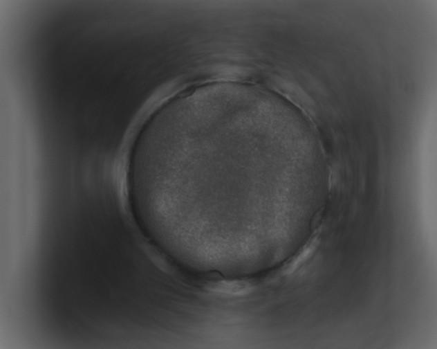 X0000100910101200807151147