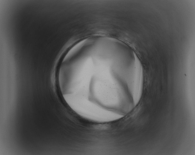 X0000100910102200807151147