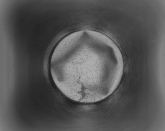 X0000100910103200807151147