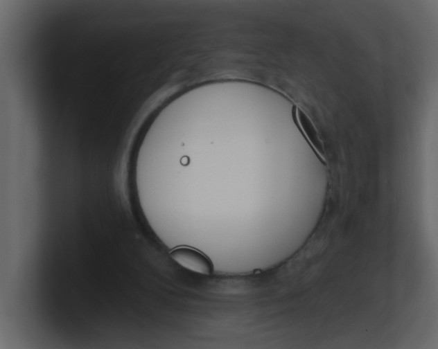 X0000100910104200807151147