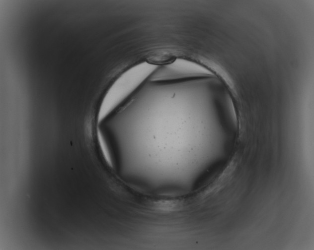 X0000100910105200807151147