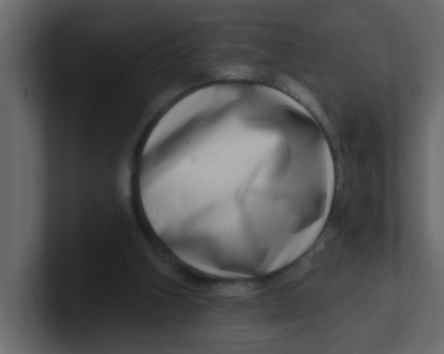 X0000100910106200807151147