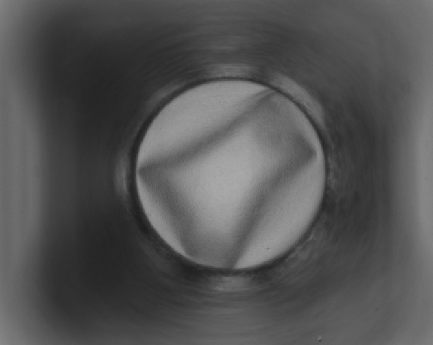 X0000100910107200807151147