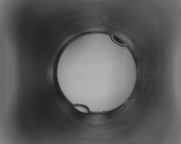 X0000100910108200807151147