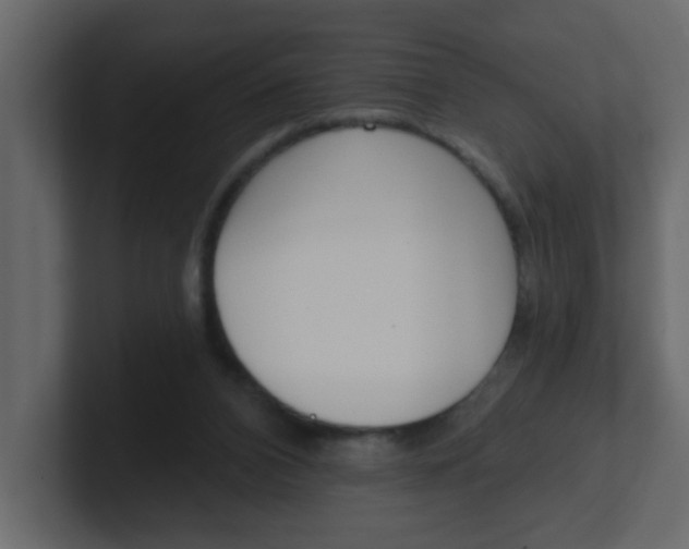 X0000100910112200807151147