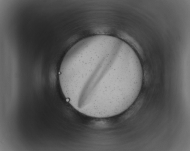 X0000100910113200807151147