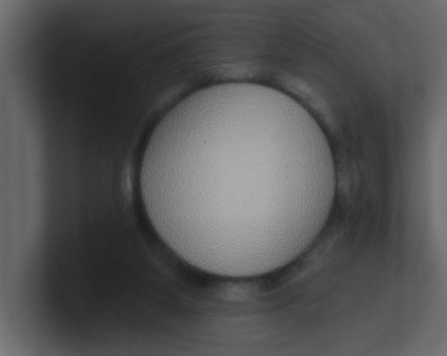 X0000100910115200807151147