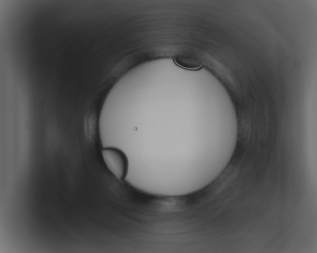 X0000100910118200807151147