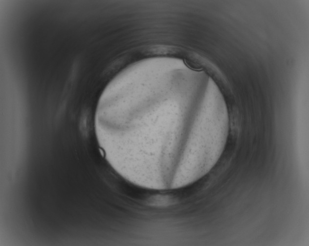 X0000100910119200807151147