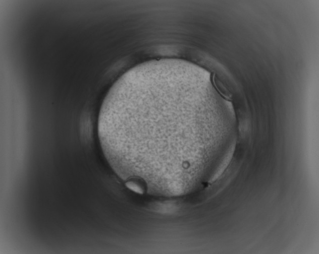 X0000100910120200807151147