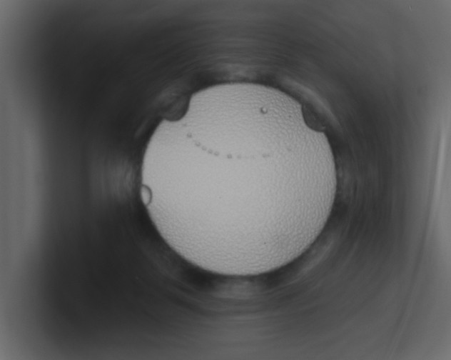 X0000100910123200807151147