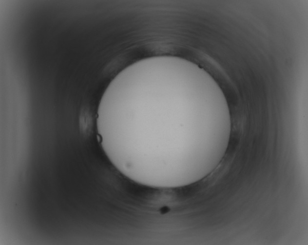 X0000100910124200807151147