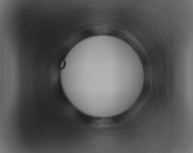 X0000100910125200807151147