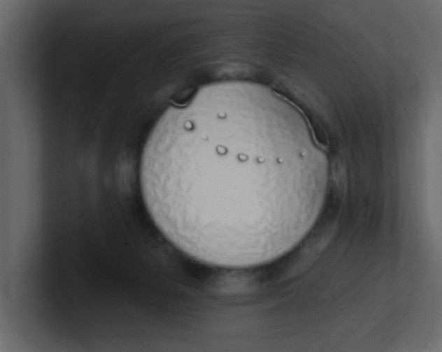 X0000100910127200807151147