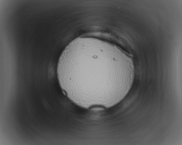 X0000100910131200807151147