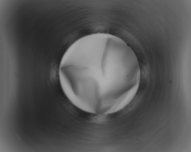 X0000100910138200807151147